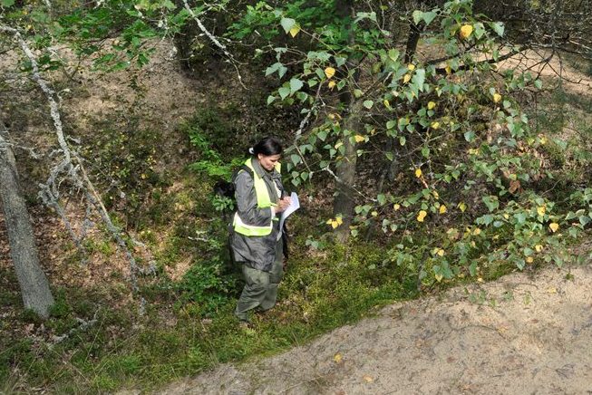 Weryfikacja terenowa danych z Lotniczego Skaningu Laserowego Członkini Zespołu APP stoi w lesie, prowadząc weryfikację terenową danych z Lotniczego Skaningu Laserowego. Zdjęcie autorstwa M. Jakubczaka.