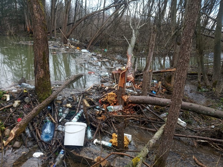 Nagromadzenie śmieci na tamie zbudowanej przez bobry. Czarny Dunajec, fot. Maciej Liro