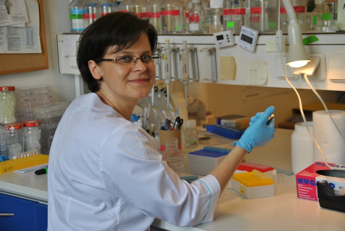 Iwona Ciechomska w laboratorium