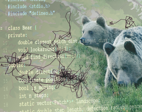 Grafika przedstawia głowy dwóch niedźwiedzi oraz fragment kodu źródłowego