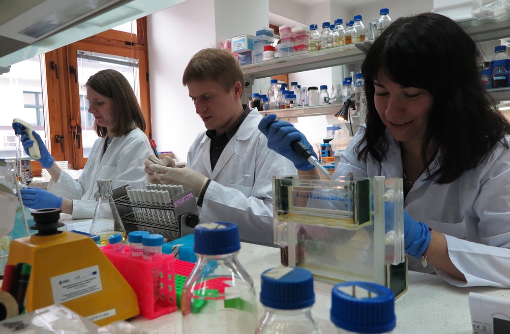Na zdjęciu: dr Ulrike Topf, dr Piotr Brągoszewski, dr Lidia Wróbel Na zdjęciu: dr Ulrike Topf, dr Piotr Brągoszewski, dr Lidia Wróbel