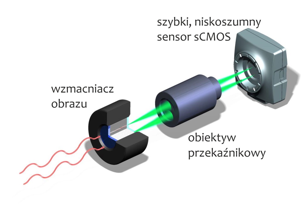 Schemat układu kamery ze wzmacniaczem obrazu umożliwiającej rejestrację pojedynczych fotonów. Schemat układu kamery ze wzmacniaczem obrazu umożliwiającej rejestrację pojedynczych fotonów.