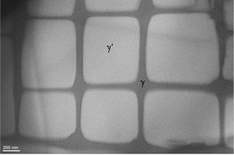 Rys. 1. Mikrostruktura monokrystalicznego nadstopu niklu CMSX-4 Mikrostruktura monokrystalicznego nadstopu niklu CMSX-4