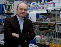 zdjęcie z projektu dr Robert Czajkowski