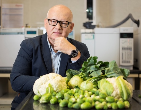 zdjęcie z projektu prof. dr hab. inż. Henryk Jeleń