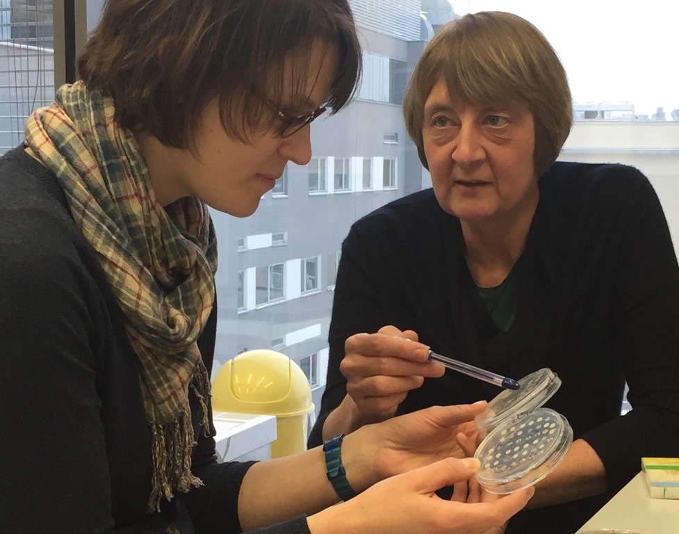 zdjęcie z projektu prof. dr hab. Magda Konarska