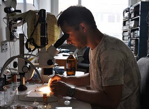 Marcin Matusiak spogląda przez mikroskop