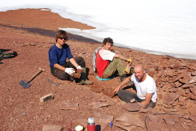 Paleontolodzy w czasie poszukiwań triasowych gadów na stanowisku Macknight Bjerg. Od lewej Andrzej Wolniewicz, Mateusz Tałanda, dr Błażej Błażejowski.
