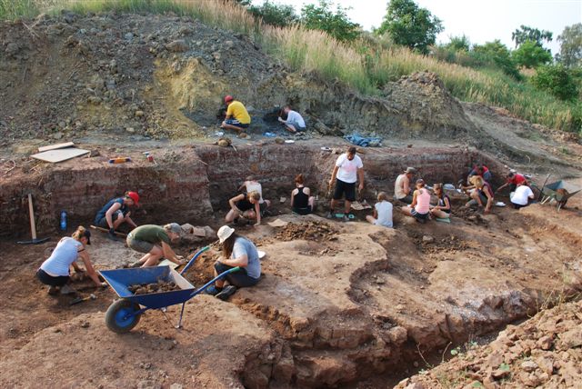 W czasie wykopalisk w Miedarach znajdowaliśmy skamieniałości w dwóch warstwach szarej na górze i czerwonej na dole. Największe nagromadzenie dużych kości znajdowało się w dolnej warstwie, w której pracuje większość uczestników wykopalisk.