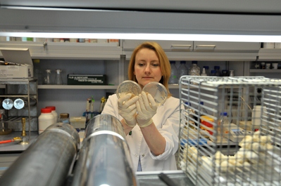 Badaczka trzyma w dłoniach dwie szalki Petriego