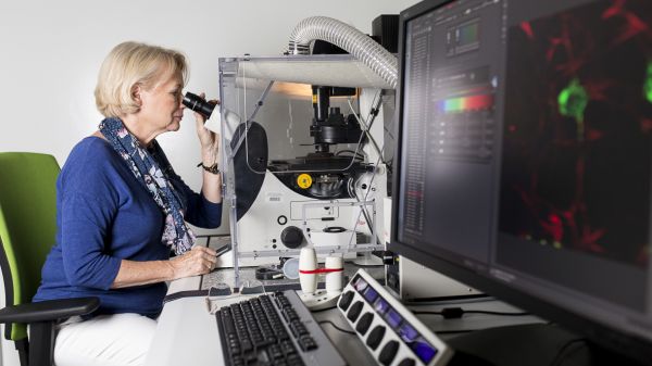 prof. dr hab. Krystyna Bieńkowska-Szewczyk