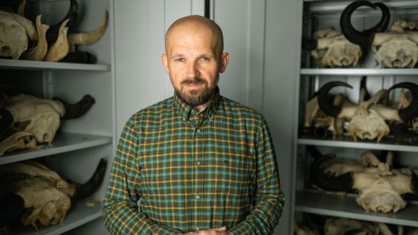 dr hab. Tomasz Samojlik przy pracy