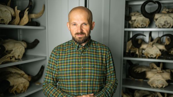 dr hab. Tomasz Samojlik przy pracy