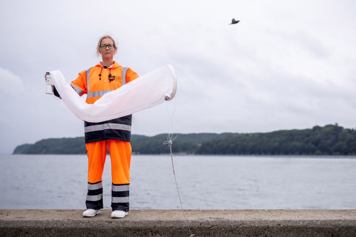 dr hab. Katarzyna Piwosz, prof. MIR-PIB, fot. Łukasz Bera