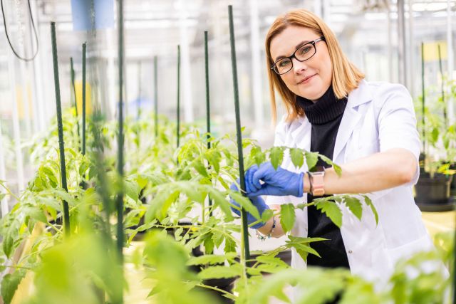 Dr hab. Aleksandra Obrępalska-Stęplowska, photo by Michał Łepecki