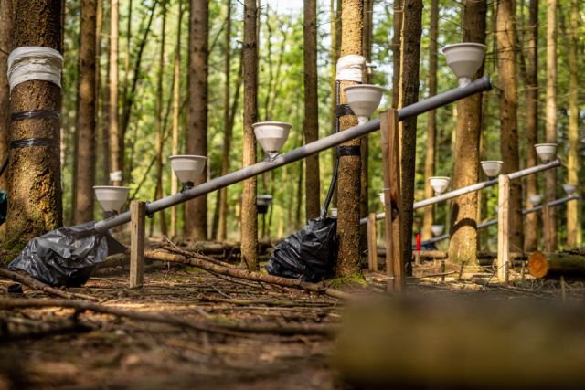 Dr hab. inż. Anna Ilek, photo: Łukasz Bera