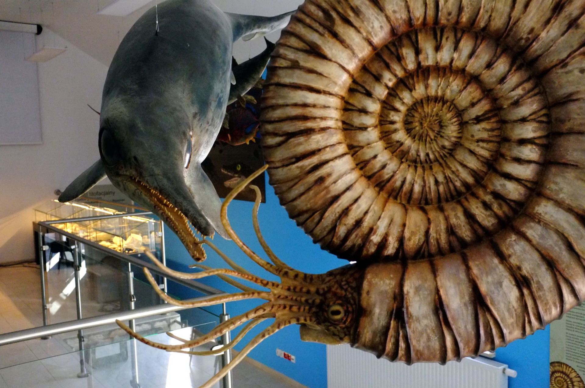 The museum presents life-size reconstructions of animals which inhabited the local seas and islands during the Late Jurassic. Photo by B. Błażejowski