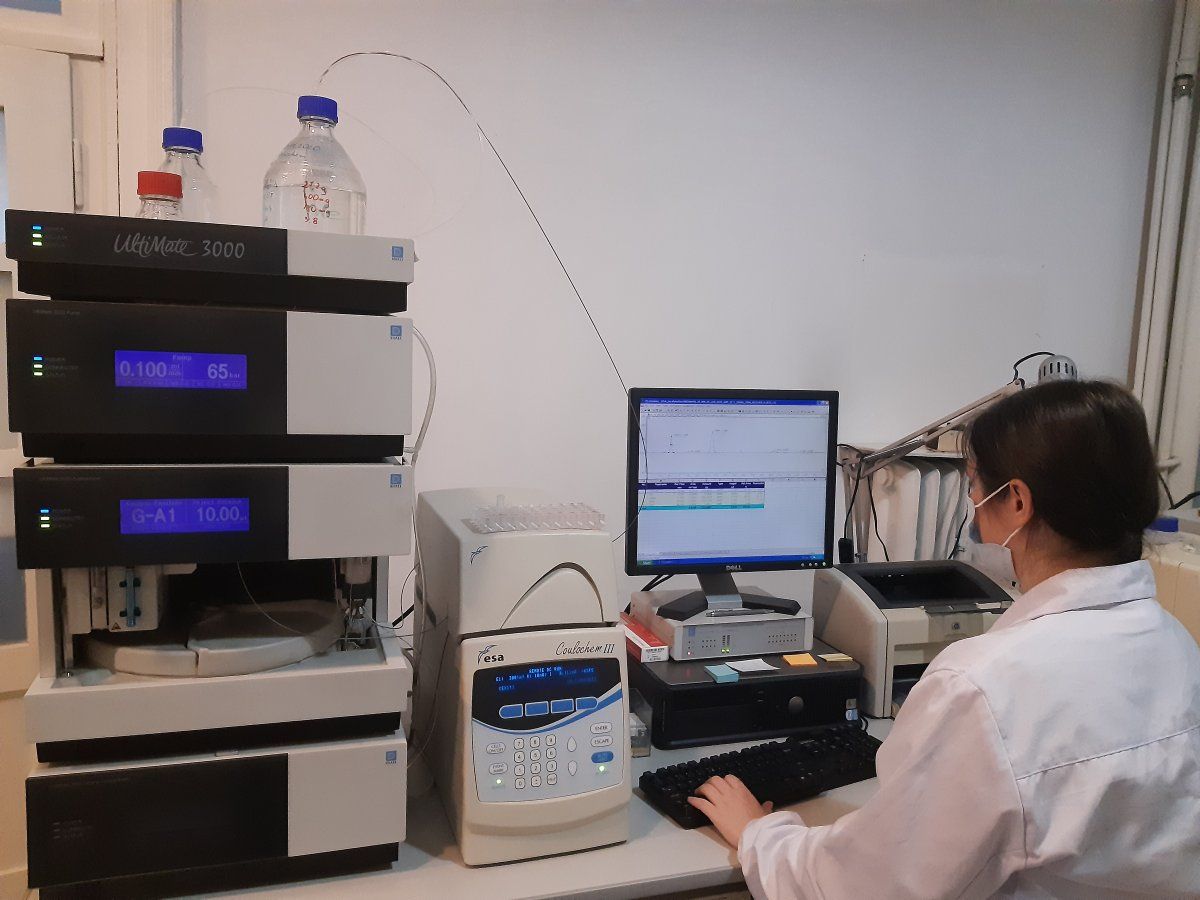 System wysokosprawnej chromatografii cieczowej z detekcją kulometryczną (Dionex/ESA, USA) dedykowany do pomiaru subnanomolarnych stężeń dopaminy i serotoniny w dializatach mózgowych.