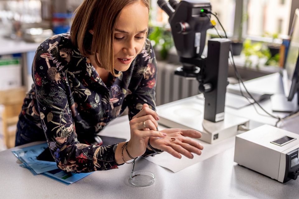 prof. dr hab. inż. Agnieszka Józefowska, fot. Łukasz Bera