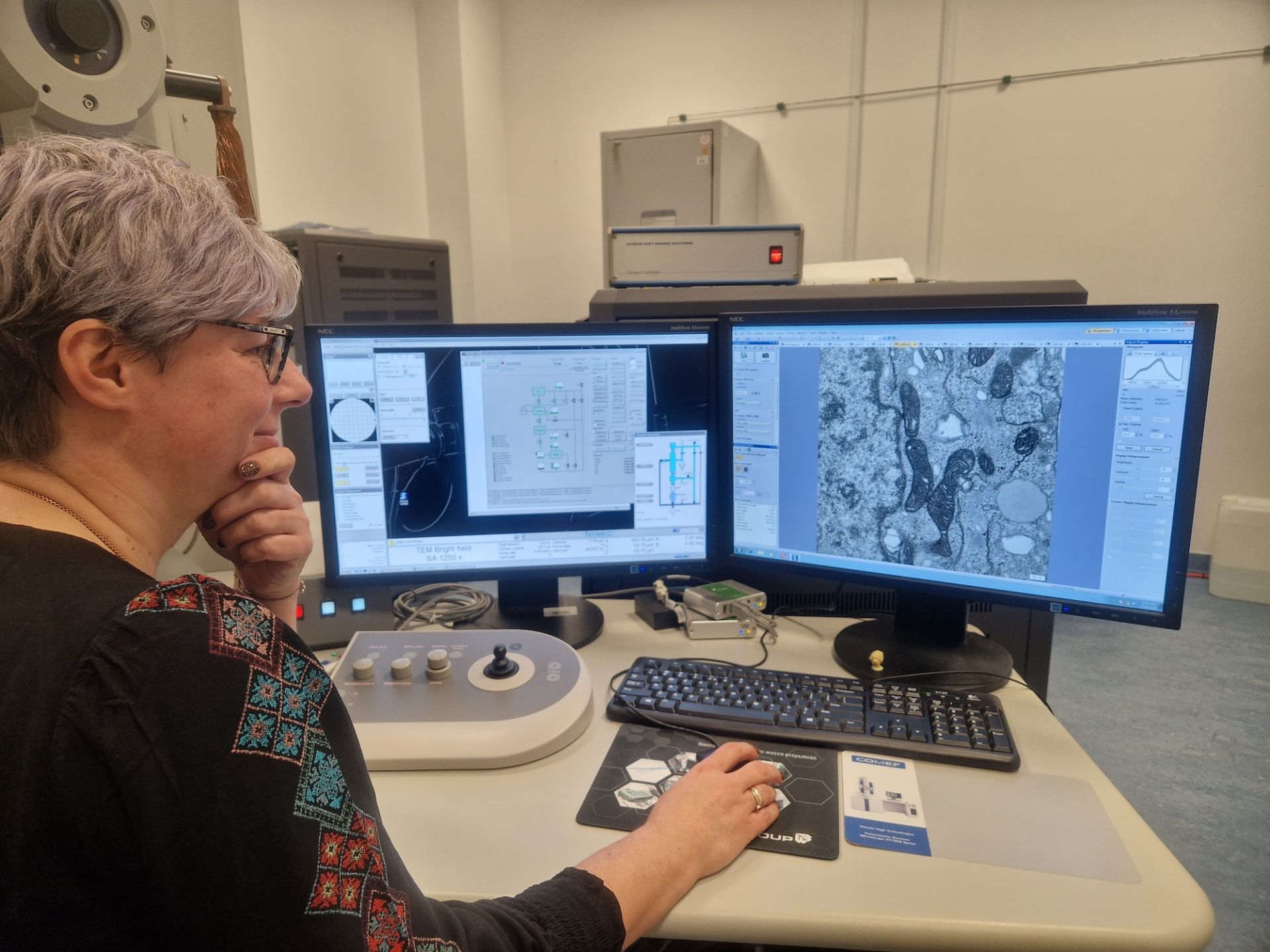 Dr hab. Magdalena Narajczyk, prof. UG podczas analizy morfologii mitochondriów komórek śródbłonka z wykorzystaniem transmisyjnej mikroskopii elektronowej. Fot. Małgorzata Kapusta