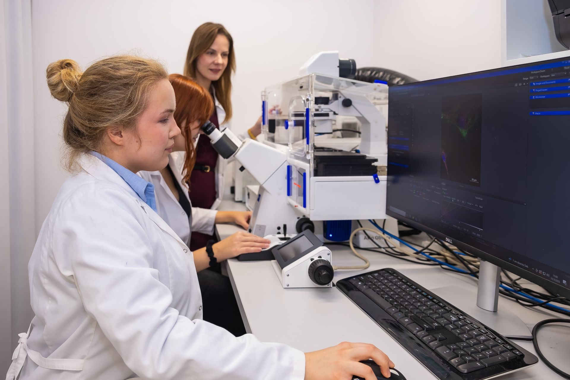 Od lewej: mgr Iga Walczak, mgr Roksana Knapczyk i dr hab. Barbara Kutryb-Zając, prof. GUMed podczas przyżyciowego obrazowania mitochondriów w komórkach śródbłonka. Fot. Paweł Sudara 