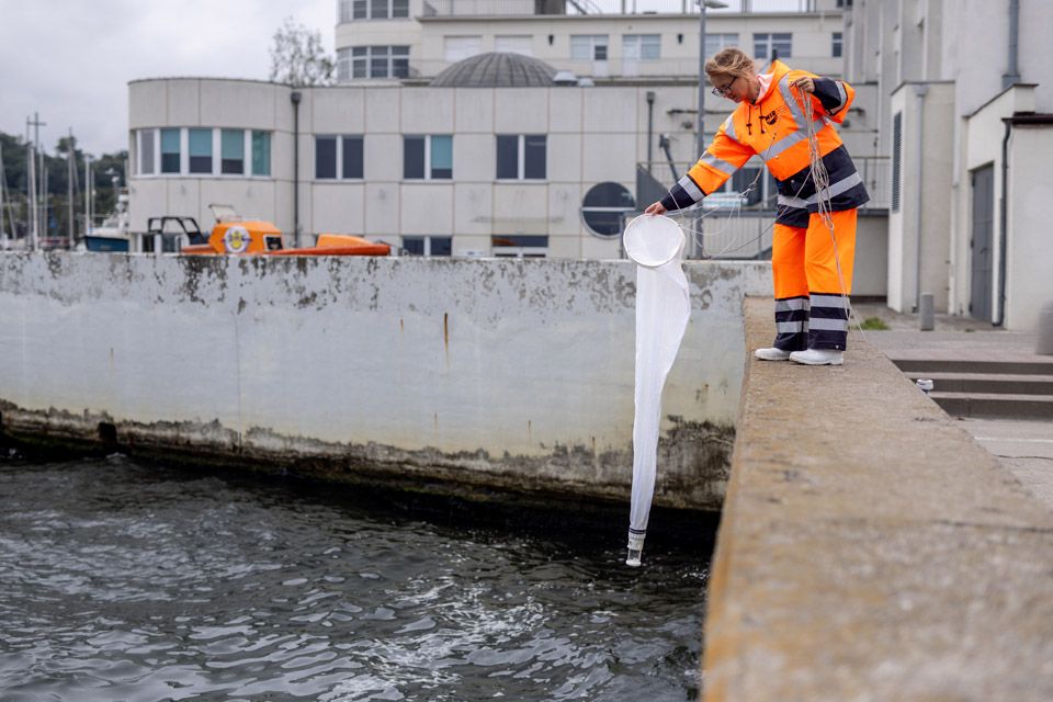 dr hab. Katarzyna Piwosz, prof. MIR-PIB, fot. Łukasz Bera