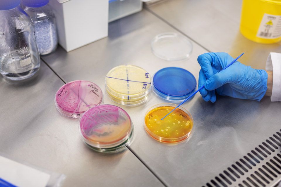 Dr Damian Rolbiecki, photo: Łukasz Bera