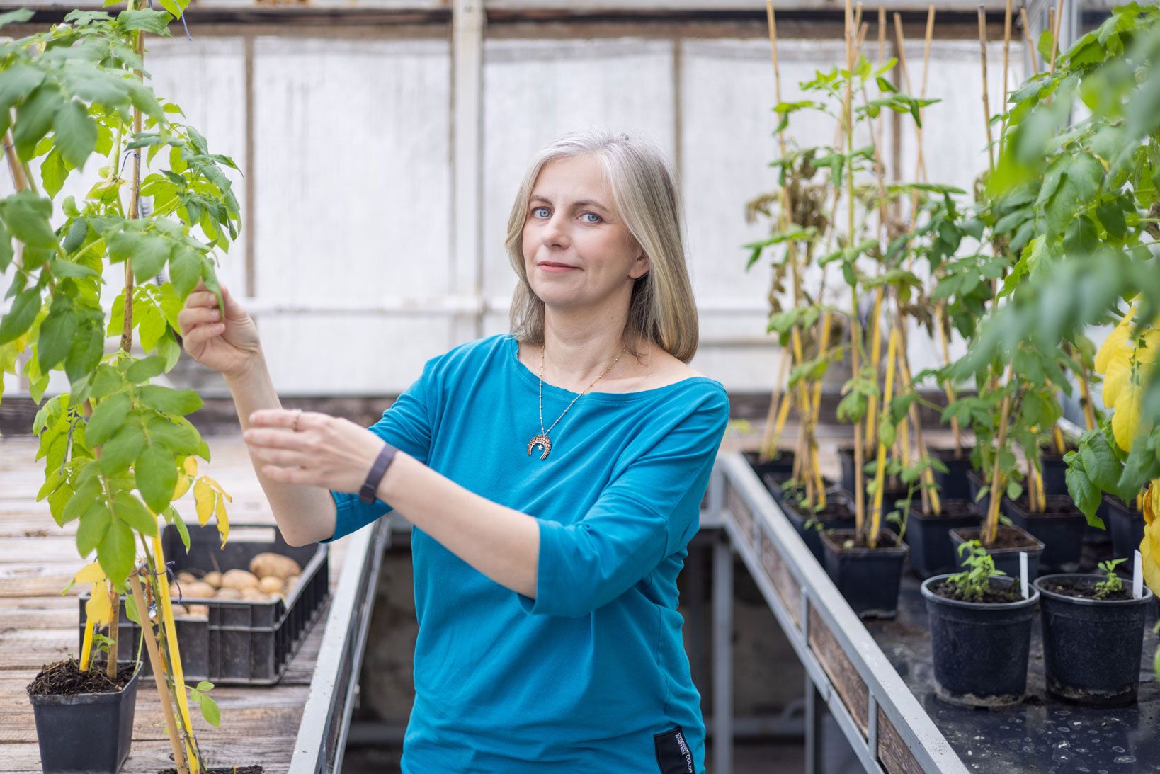 Prof. Jadwiga Śliwka, photo by Michał Łepecki
