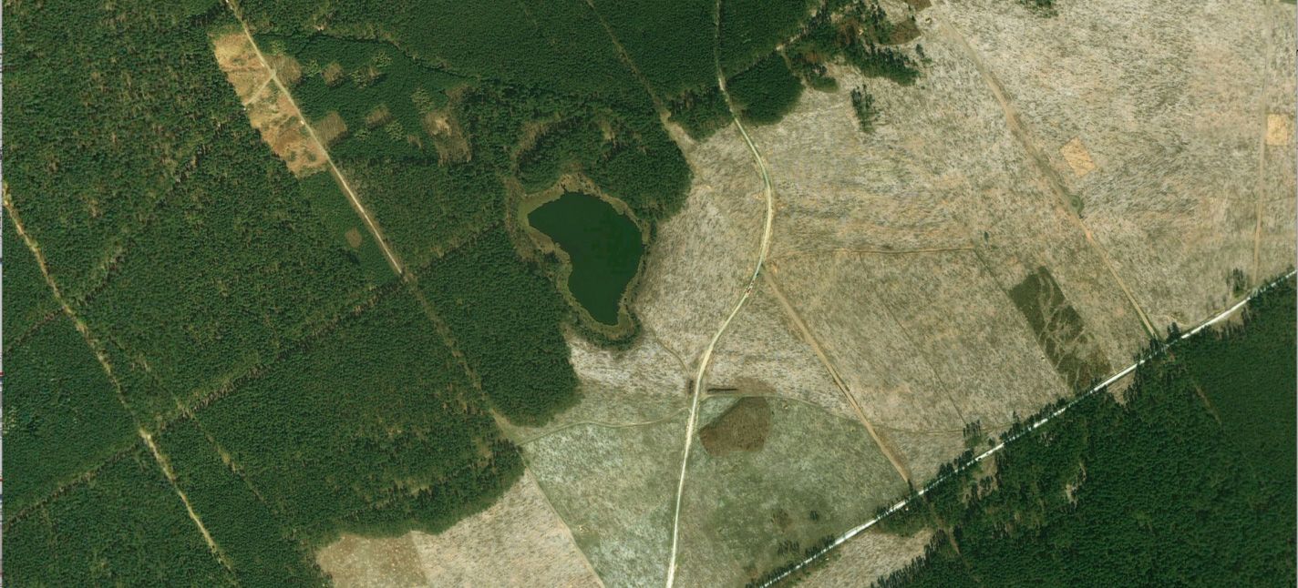 Deforestation of the drainage basin of the "Martwe" peatland reserve in the aftermath of the tornado that hit Bory Tucholskie in July 2012 (source: Google Earth). 