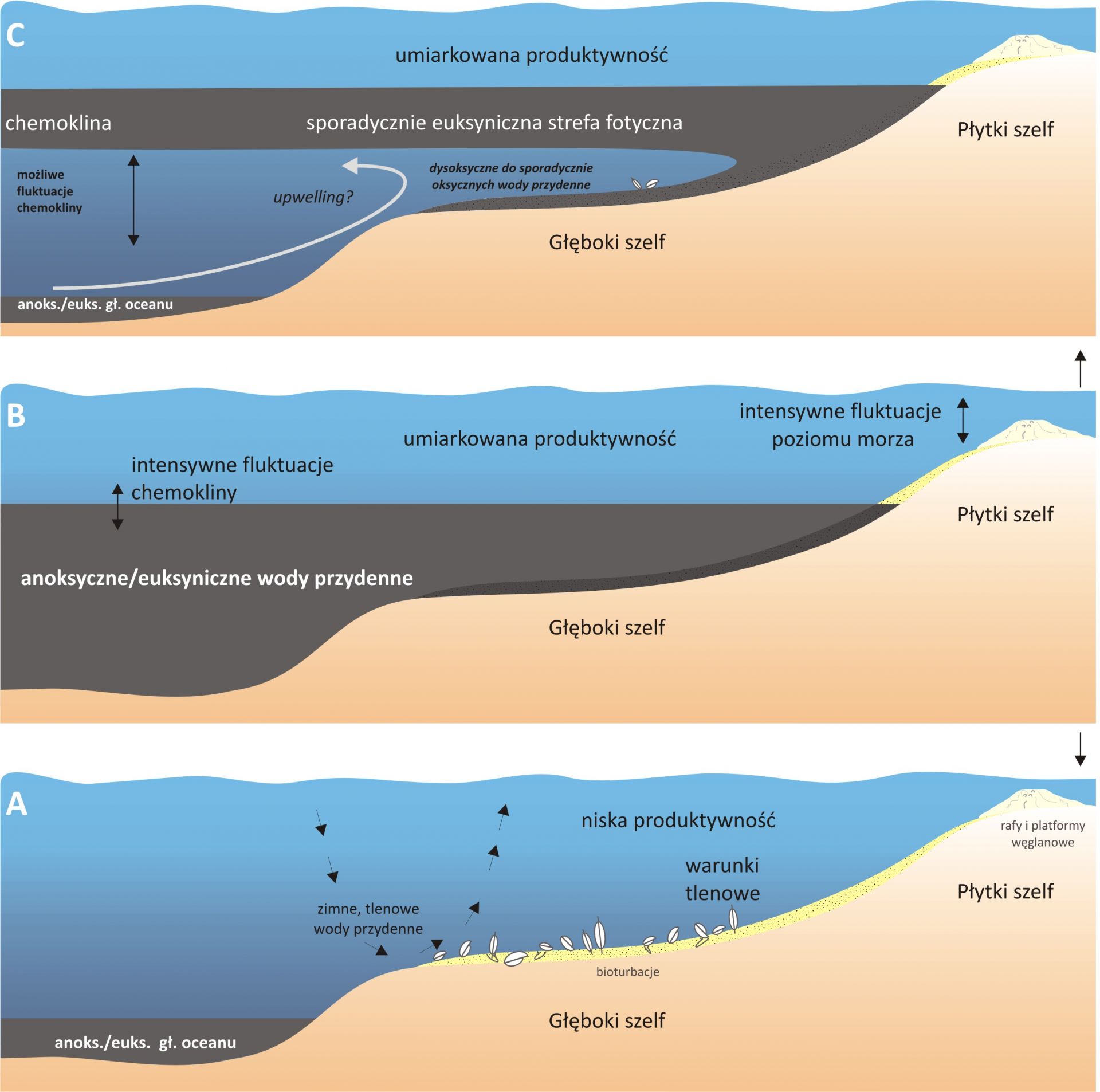 Three models of sedimentation conditions before – A, during – B and after – C the Ireviken event
